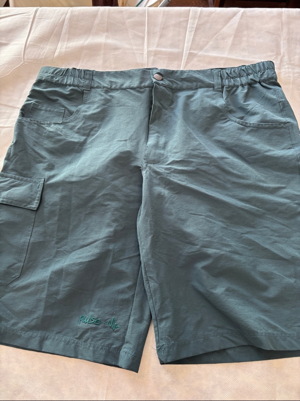 Pulse Men's Teal-Green Cargo Shorts